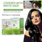 Apple Ammonia-Free Black Hair Shampoo (30ml x 10 Sachets)