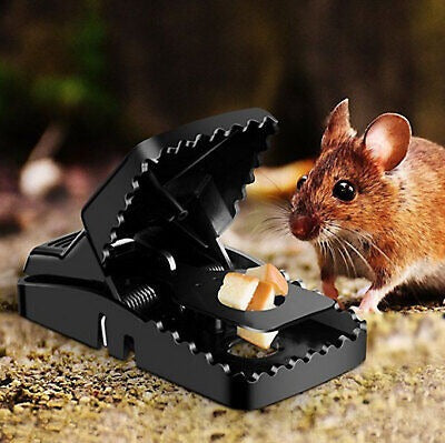Heavy Duty Reusable Plastic Mouse Trap Durable Safe Effective And Long Lasting Mouse Catcher For Rodent Control