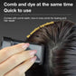 Water And Sweat Proof Hair Comb Dye Long Lasting Easy To Use Safe And Effective Hair Coloring Solution - Black