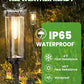 BITPOTT Bright Solar Pathway Lights Outdoor, 8 Pack Solar Powered Garden Lights Waterproof IP65, Auto On/Off Outdoor Light for Lawn Patio Walkway Driveway Decor Landscape Lighting