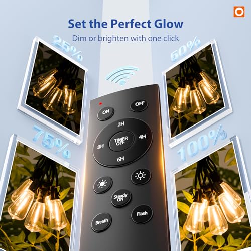 addlon 100FT LED Outdoor String Lights with Remote Waterproof Patio Lights with Shatterproof ST38 Replaceable Bulbs, Dimmable Outside Hanging Light Connectable for Porch, Backyard