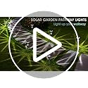 Eyrosa Solar Outdoor Lights, 10 Pack Waterproof Stainless Steel Solar Stake Lights for Pathway Garden Yard Path Walkway Driveway Lawn Patio Outside Decor, Cool White